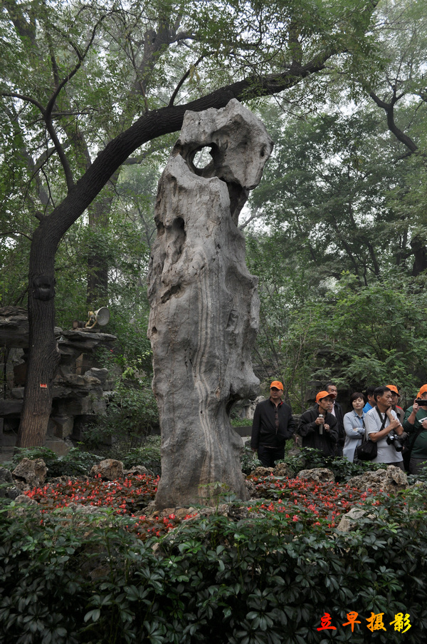 DSC_3179.jpg