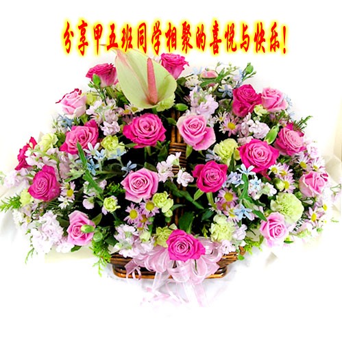 48_6229_b92d7f00a9a3384_conew1.jpg