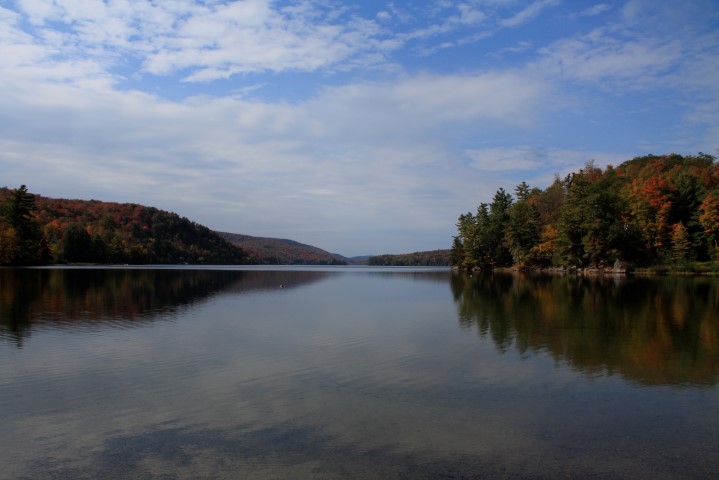 _MG_1377 (Small).JPG