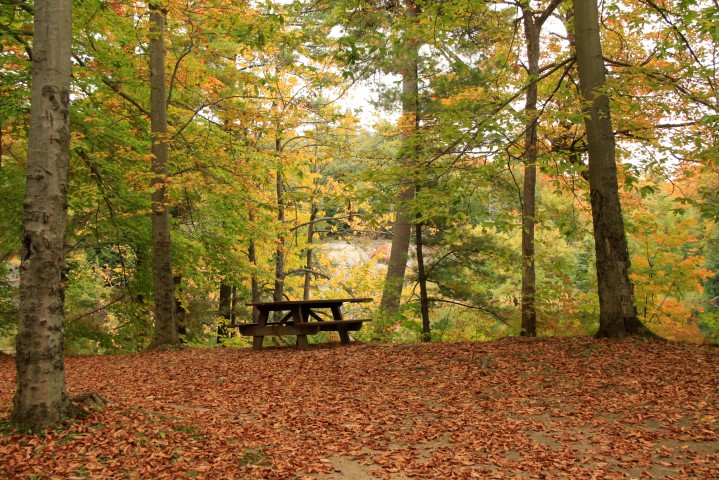 _MG_1304 (Small).JPG