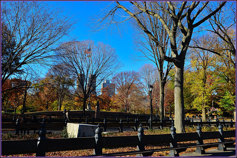 DSC_1170.jpg