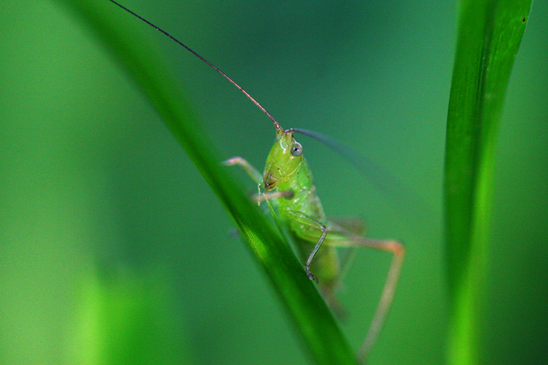 27301342_1500_.jpg