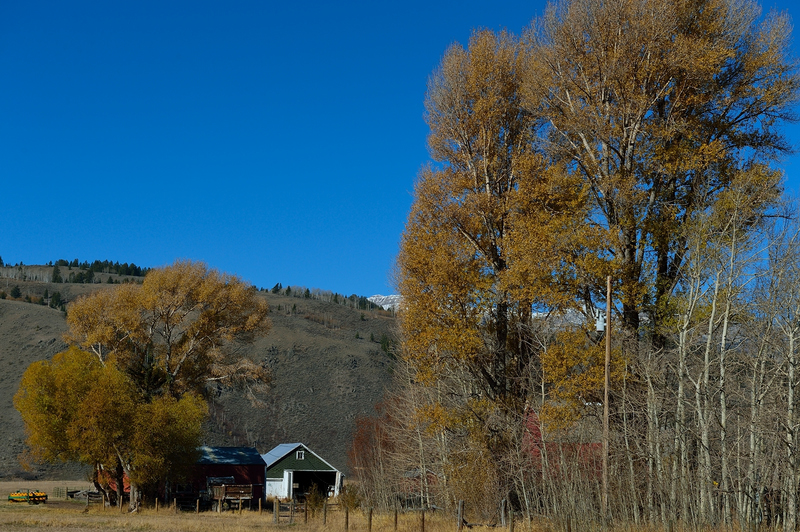 YellowStoneTrip102420130098.jpg