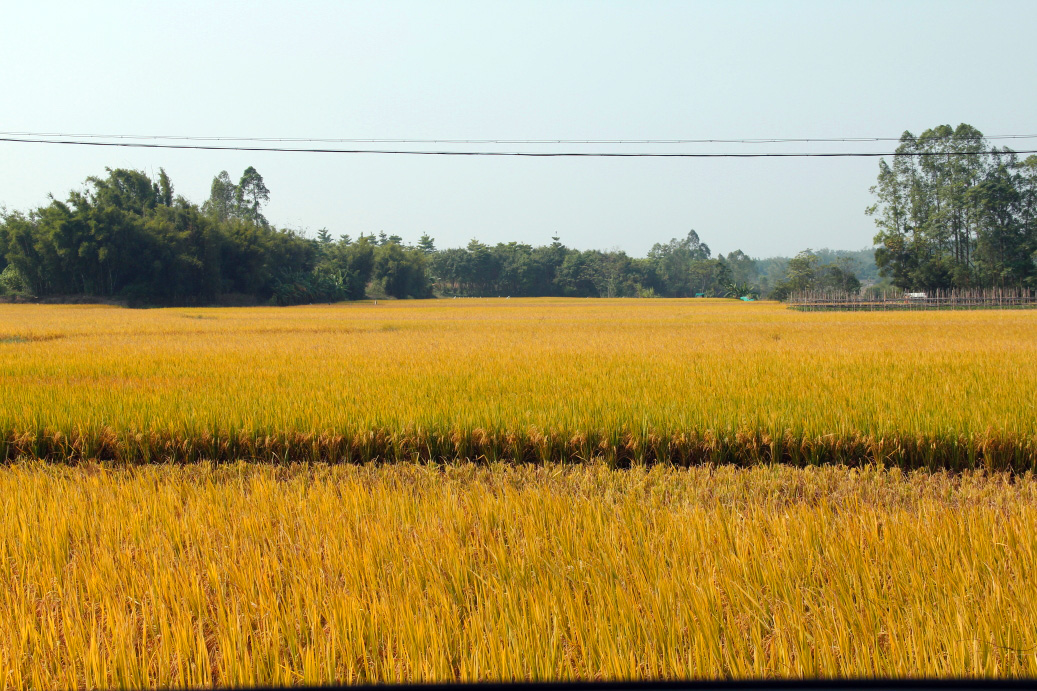 _MG_84042013-10-20.JPG