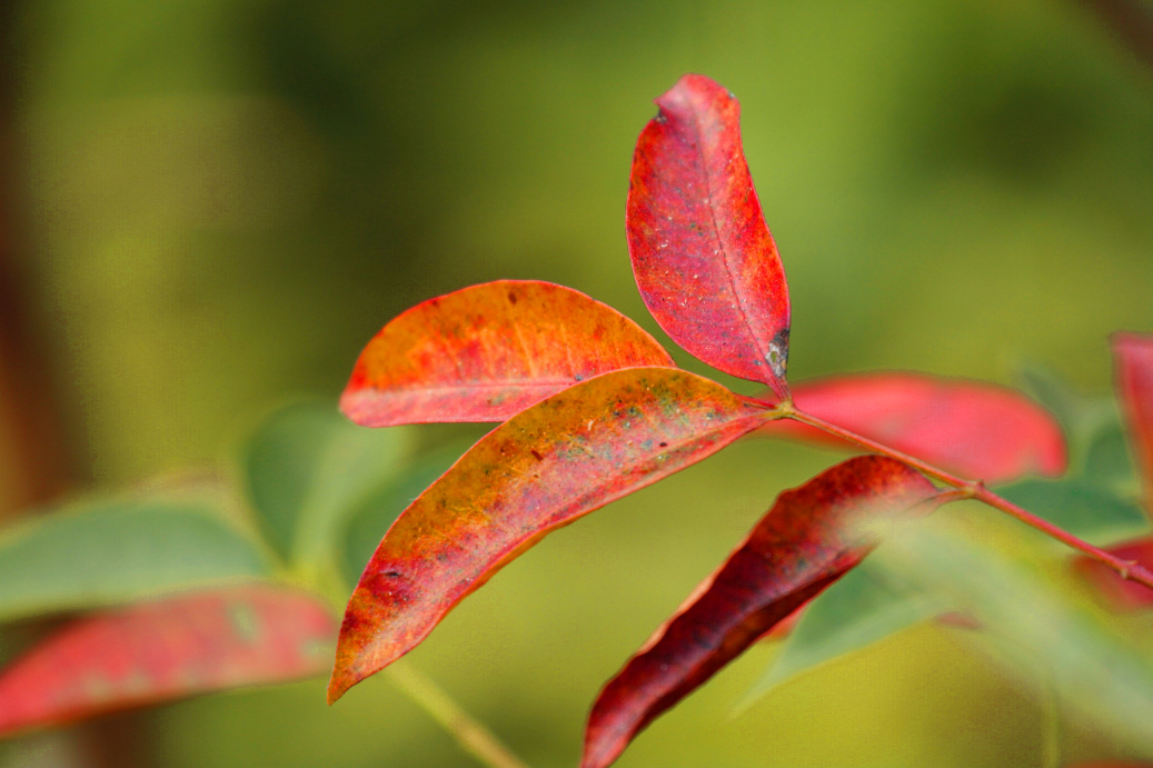 _MG_85922013-10-20.JPG