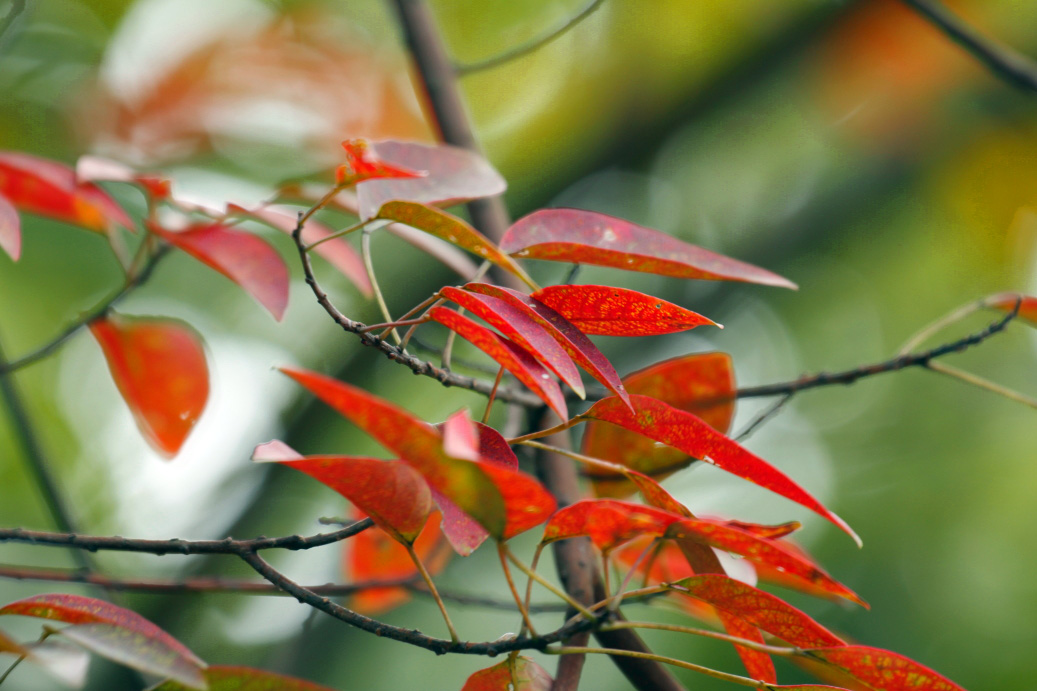 _MG_86202013-10-20.JPG