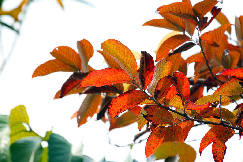 _MG_88022013-10-20.JPG