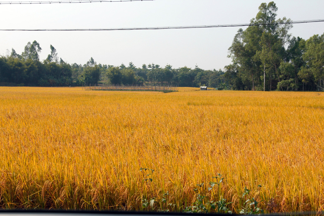_MG_84022013-10-20.JPG