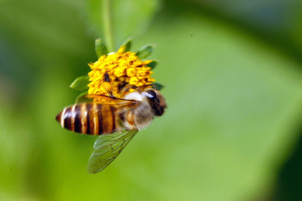 _MG_10912013-10-20.JPG