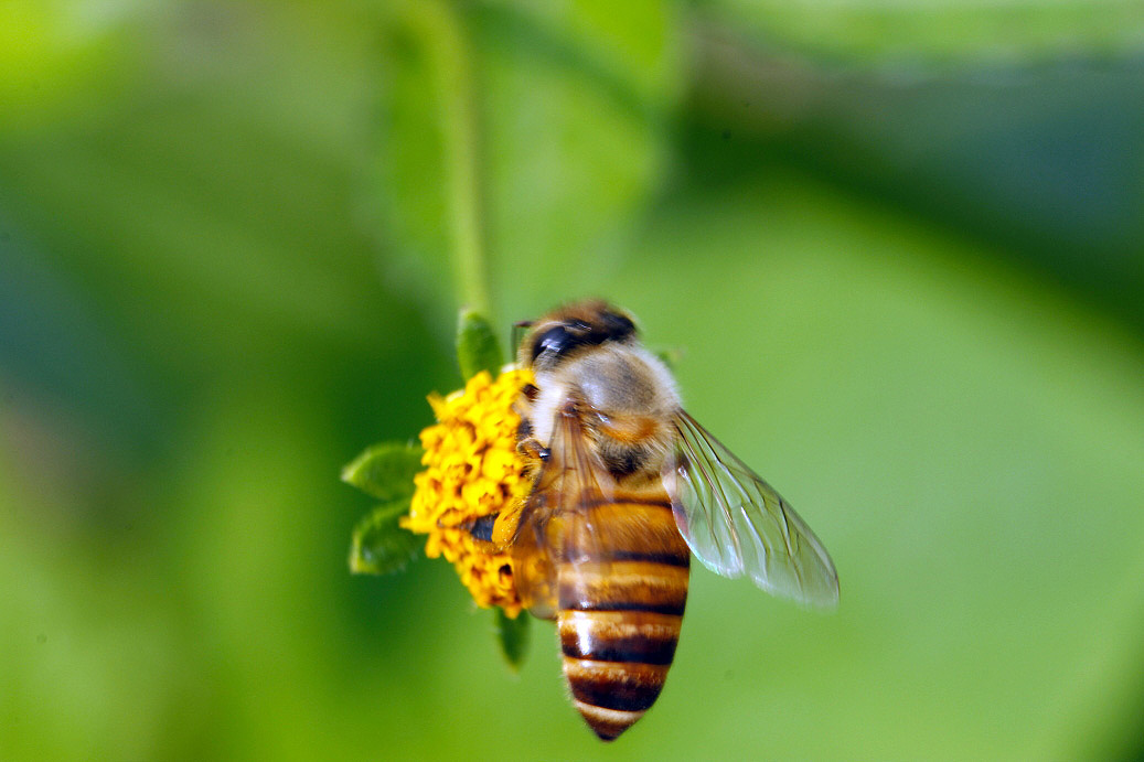 _MG_10932013-10-20.JPG
