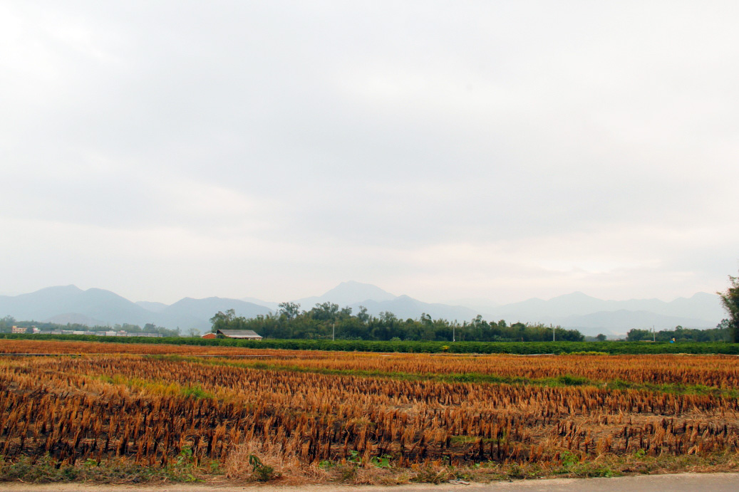 _MG_08832013-10-20.JPG