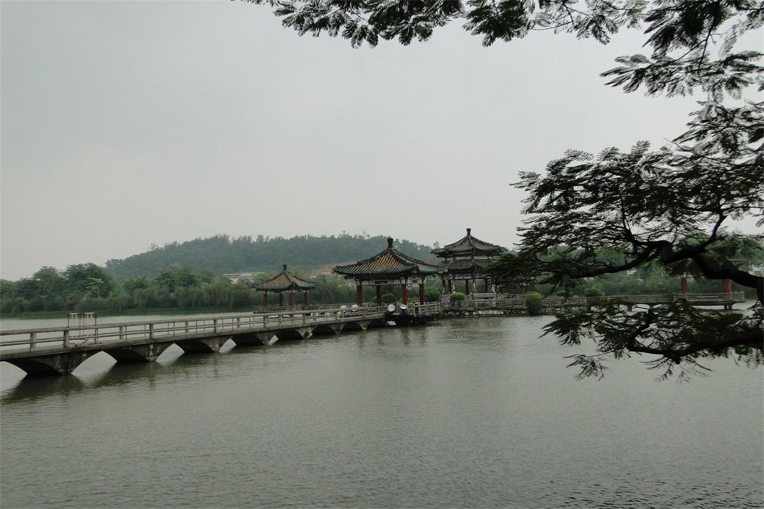 DSC08868(1).JPG