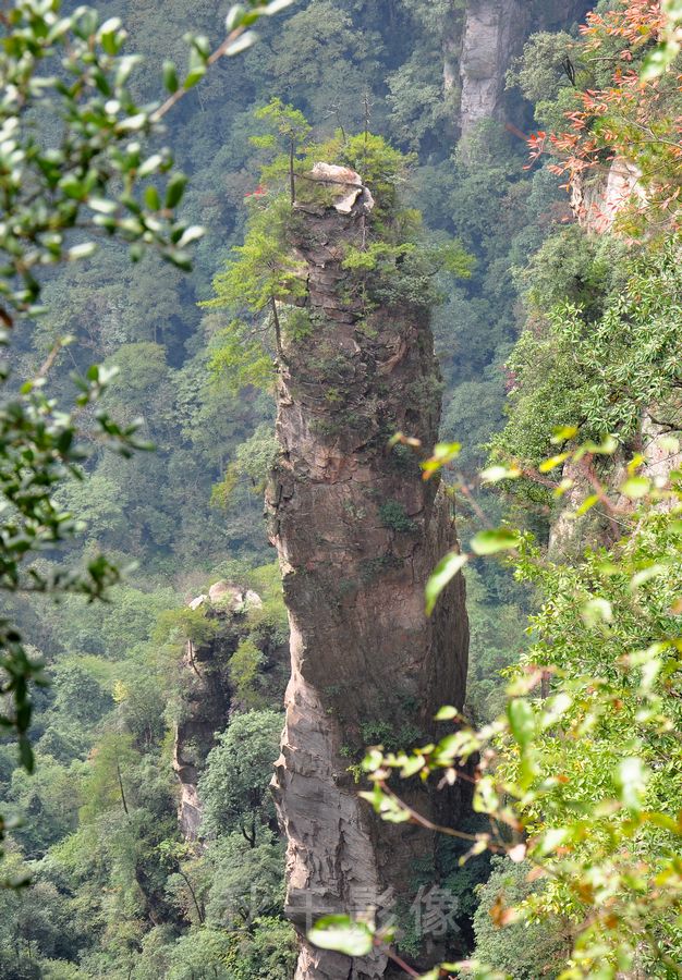 DSC_0847.jpg