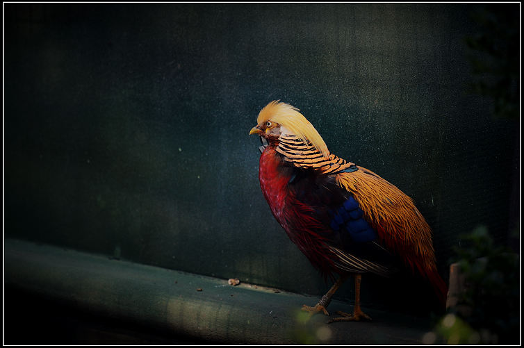 DSC_8580.JPG