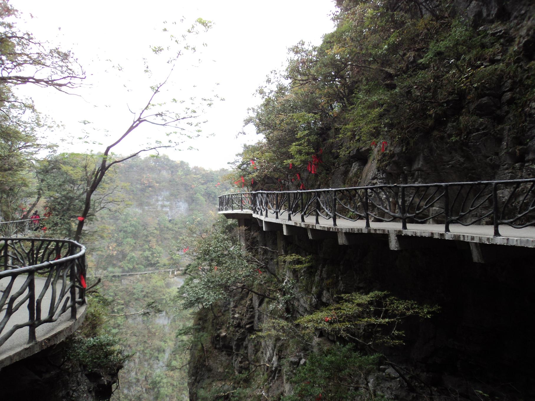 ���� DSC04238.JPG