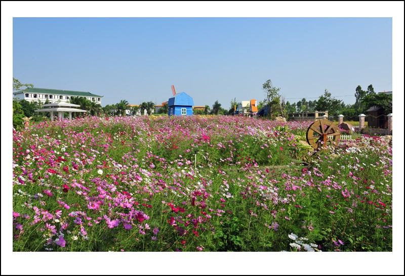 DSC_1467 - ����_conew1.jpg