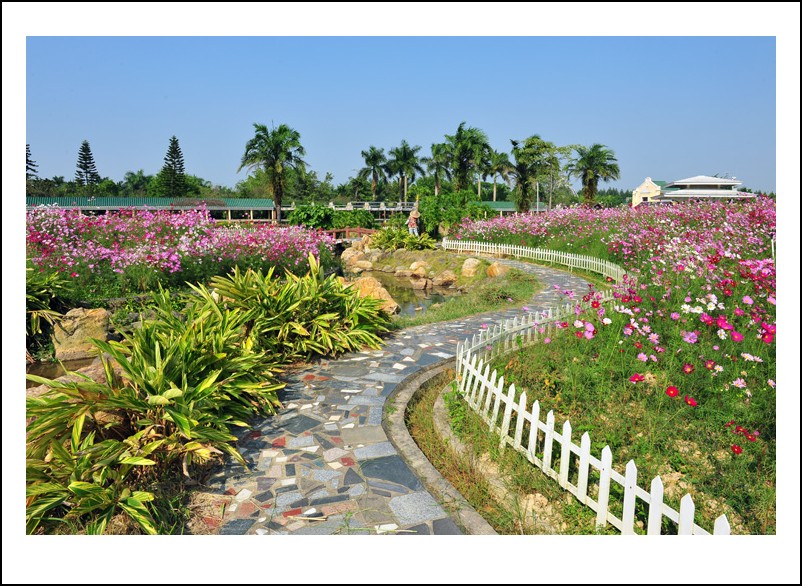 DSC_1469 - ����_conew1.jpg