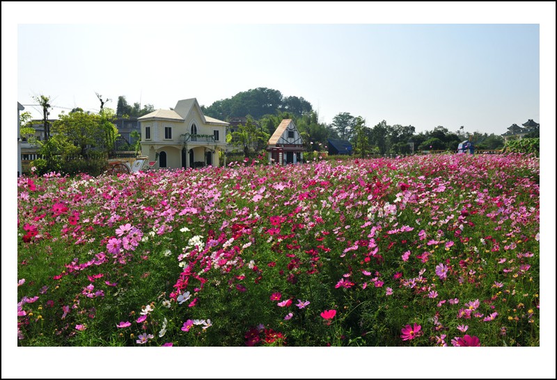 DSC_1476 - ����_conew1.jpg