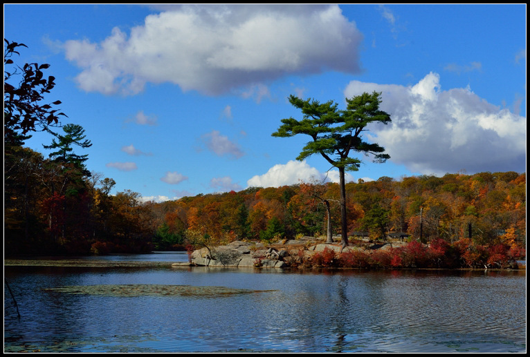 DSC_0648.jpg