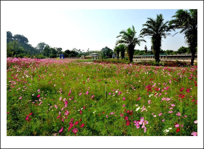 DSC_1479 - ����_conew1.jpg