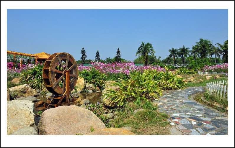 DSC_1419 - ����_conew1.jpg