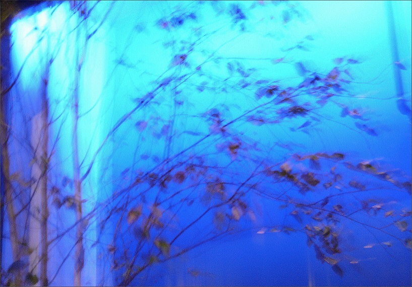 l1120220_conew1.jpg