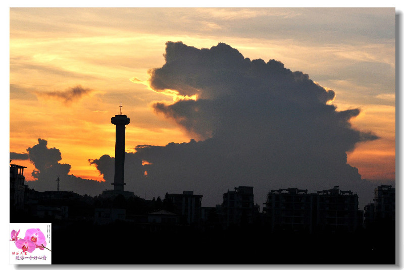 psb (2)����.jpg