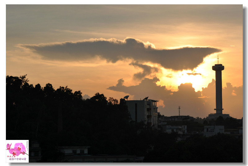 psb (1)����.jpg