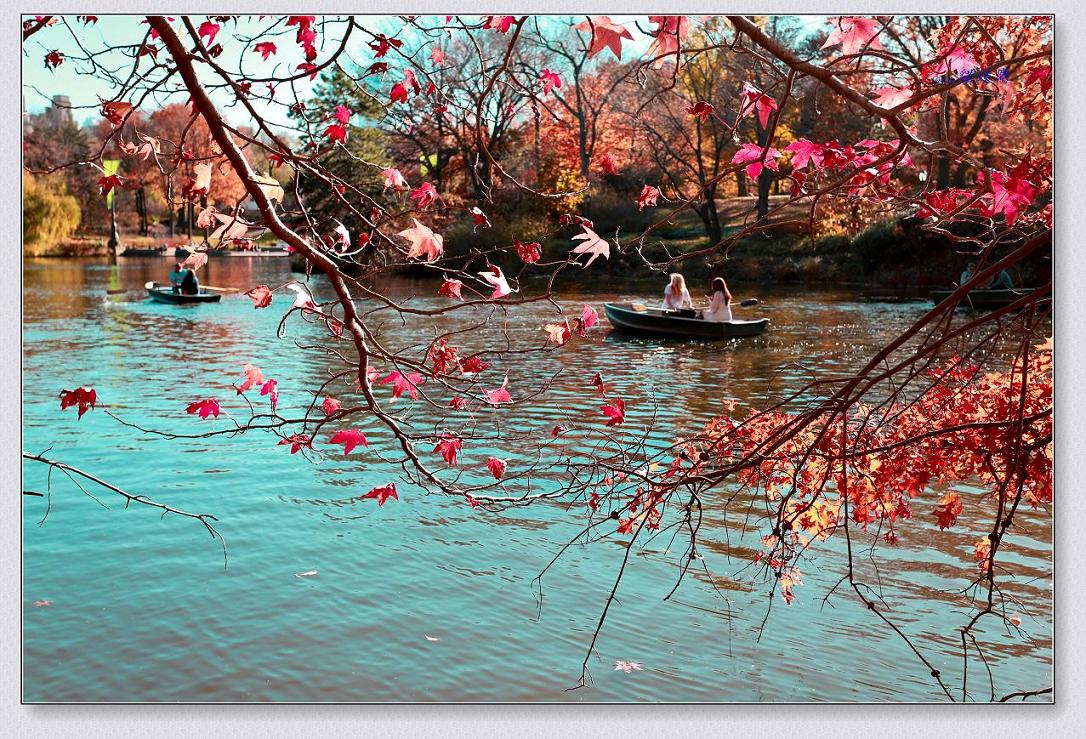 �}�u -11-18-13���빫�@��ɫ 237-2.jpg