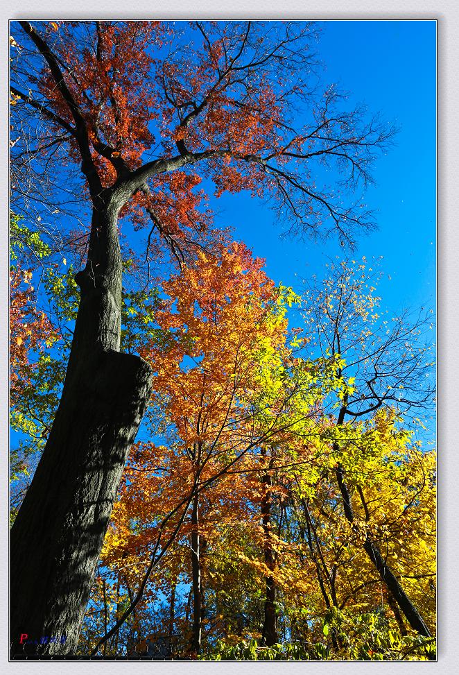 �}�u -11-18-13���빫�@��ɫ 034-2.jpg