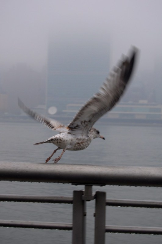 DSC_0853_copy.jpg