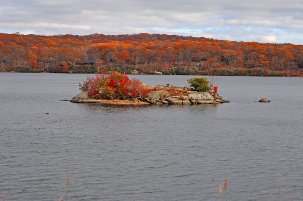 DSC_0552.jpg