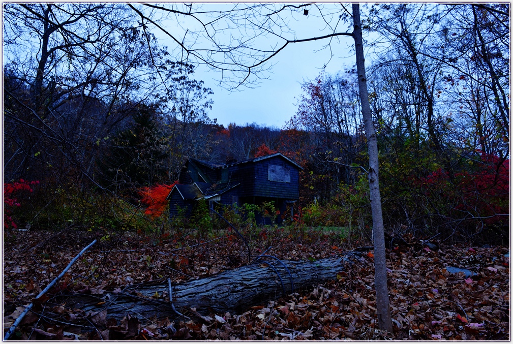 DSC_4806.jpg
