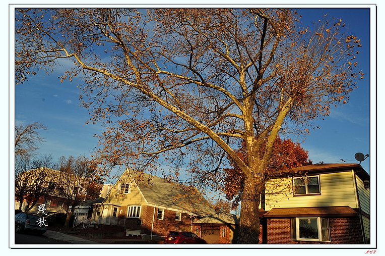 �ʺ�������� 257-1.jpg