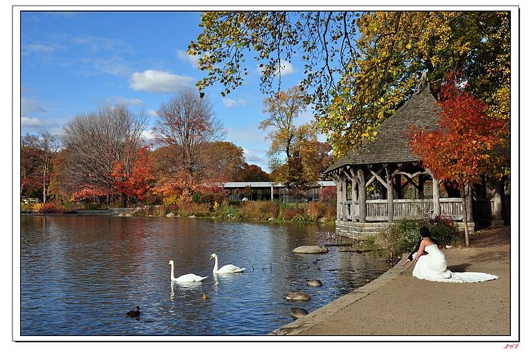 2013��ŦԼ�������� 683-1.jpg