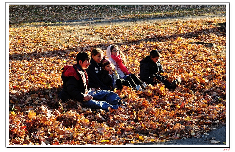 2013��ŦԼ�������� 850-1.jpg