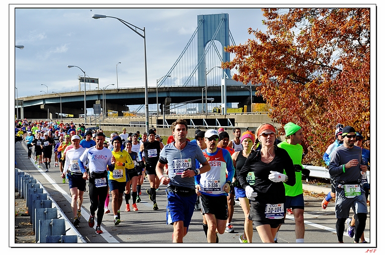 2013��ŦԼ��������-1 431-1.jpg