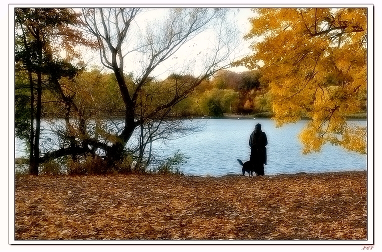 2013��ŦԼ�������� 749-2.jpg