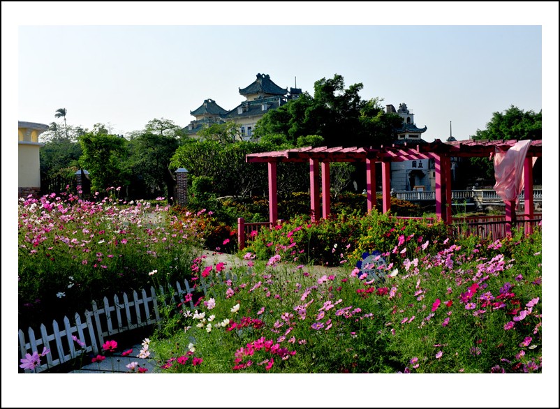 DSC_1546_conew1.jpg