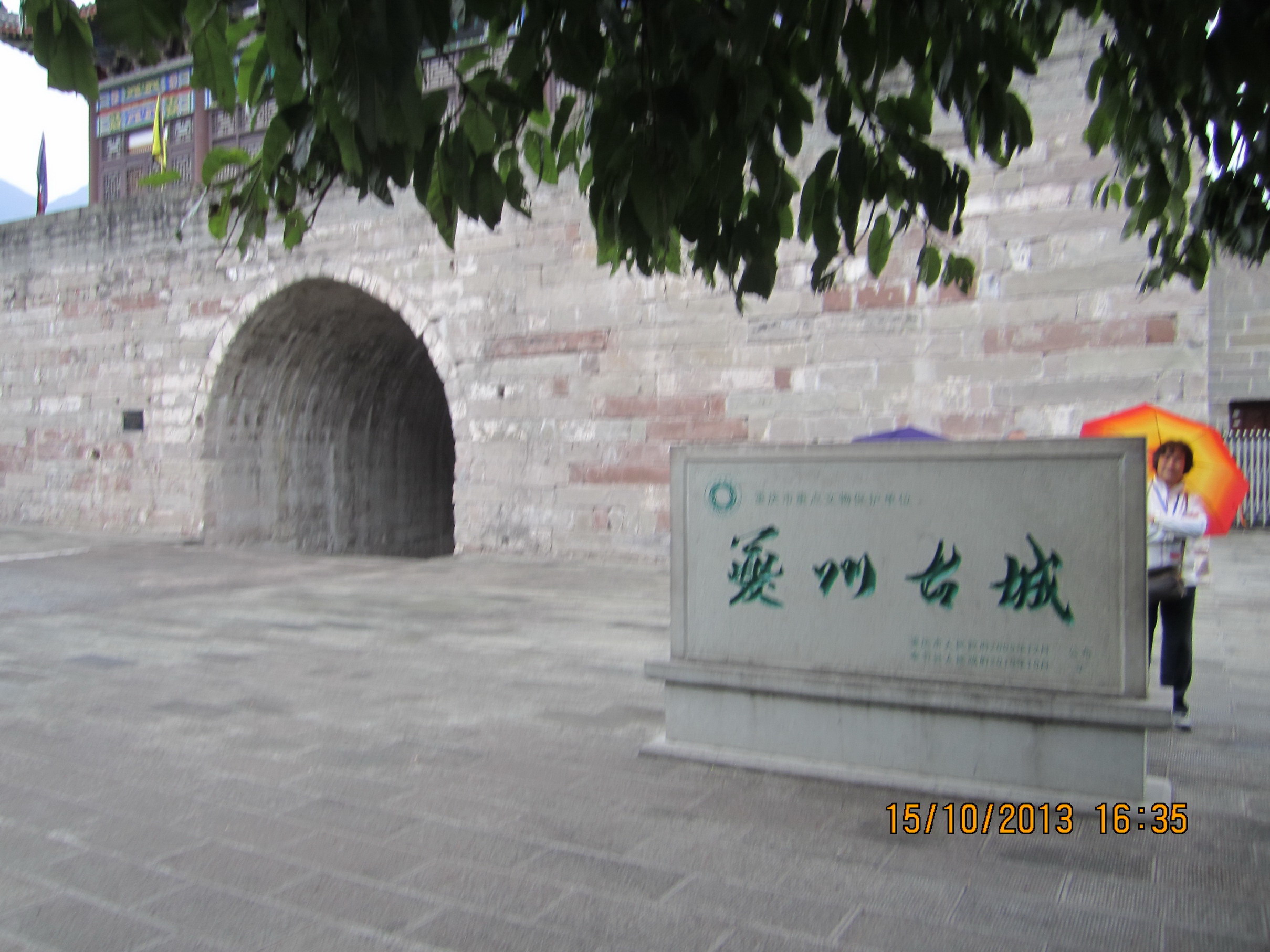 IMG_4890.jpg