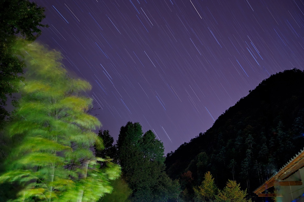 DSC_91914p.jpg
