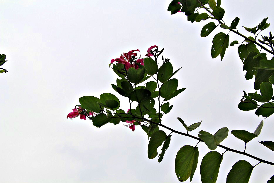 IMG_3406.JPG
