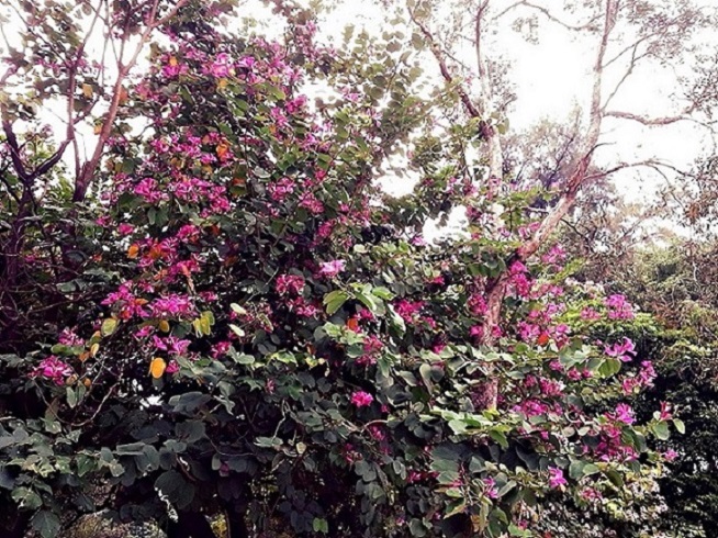 IMG_20131106_101814.jpg