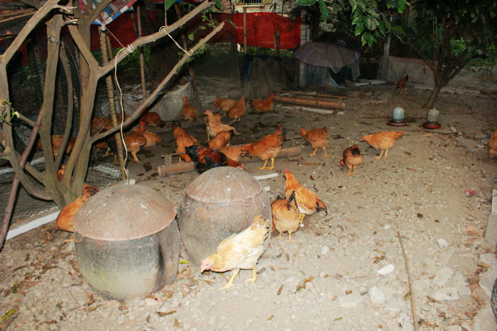 Canon&#39;s T2i 096.JPG