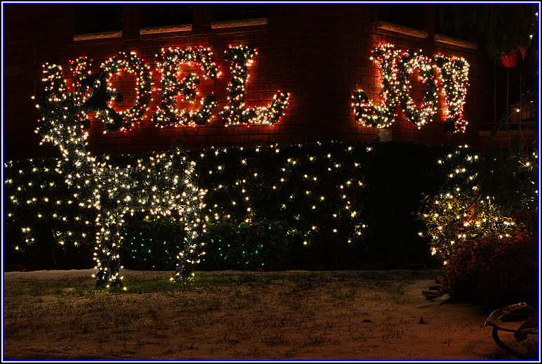 DSC_2093.jpg