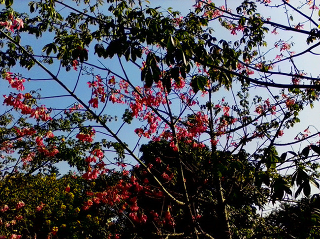 IMG_20131129_142637945.jpg