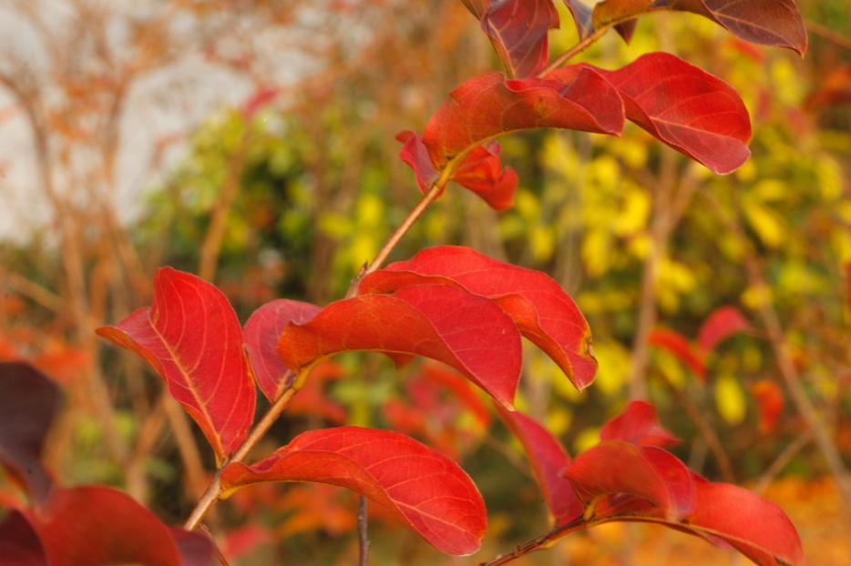 _MG_25762013-10-20.JPG