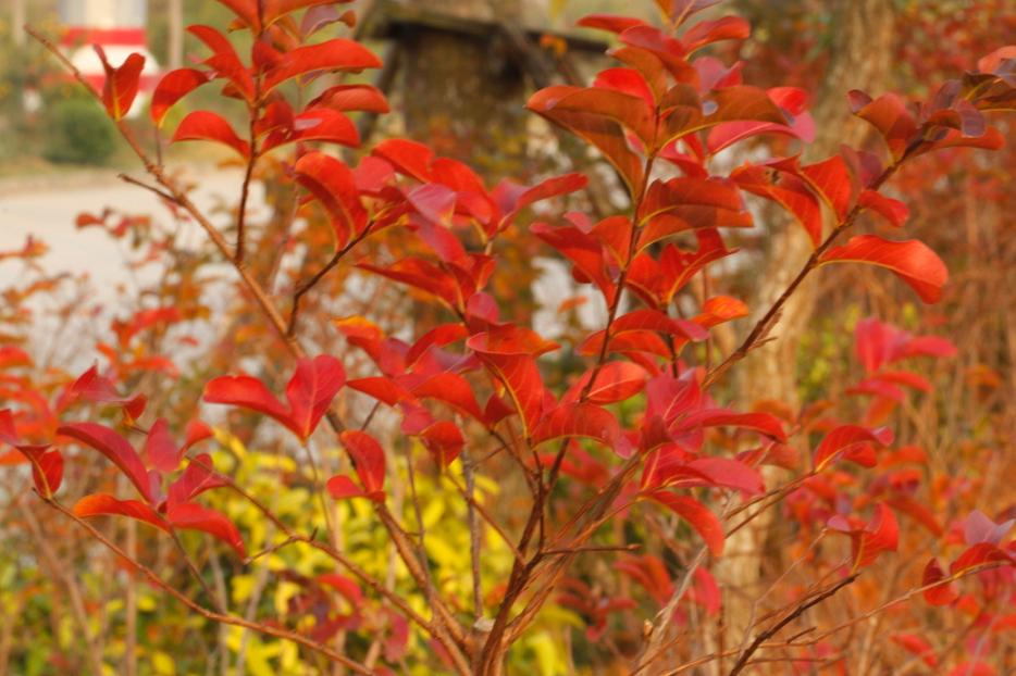 _MG_25822013-10-20.JPG
