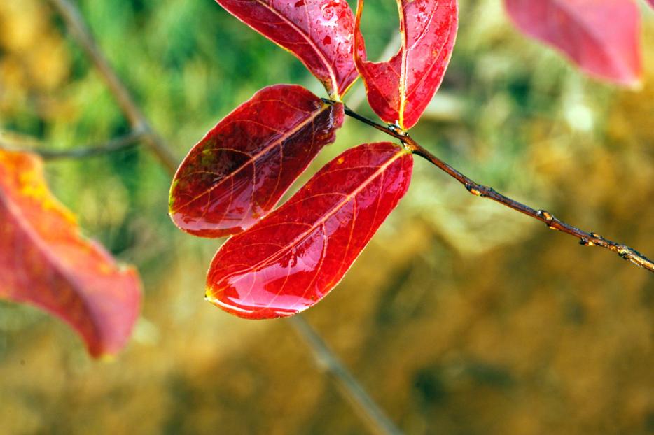 _MG_25512013-10-20.JPG
