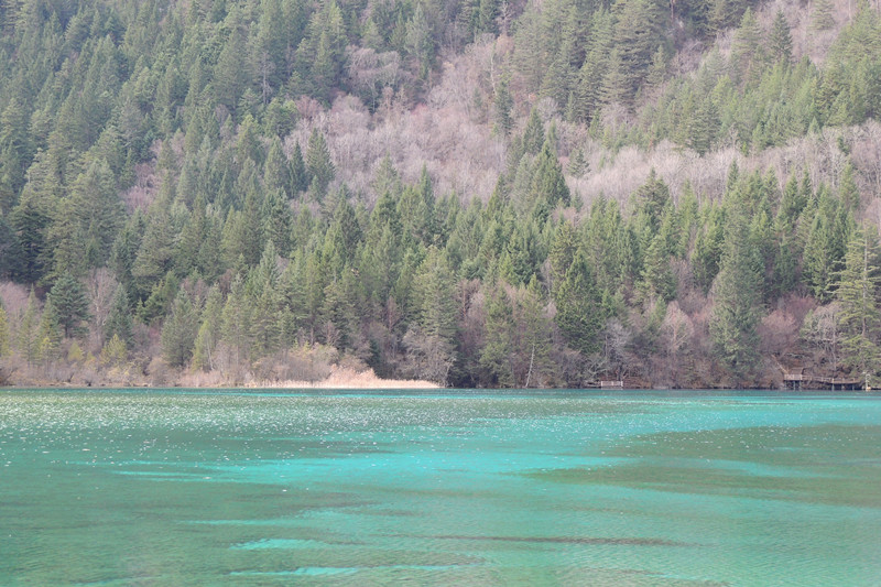DSCN3566_.jpg